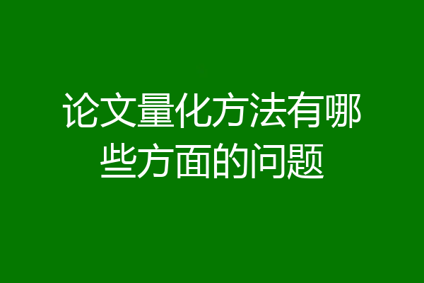 论文量化方法有哪些方面的问题
