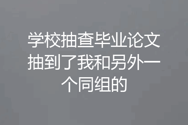 学校抽查毕业论文抽到了我和另外一个同组的