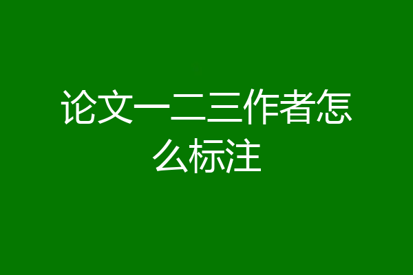 论文一二三作者怎么标注