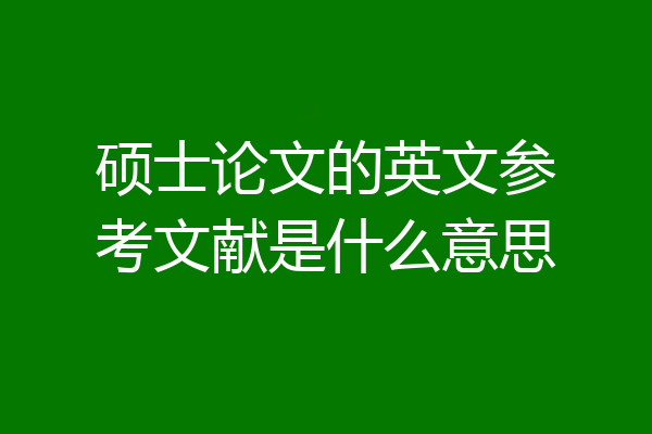 硕士论文的英文参考文献是什么意思
