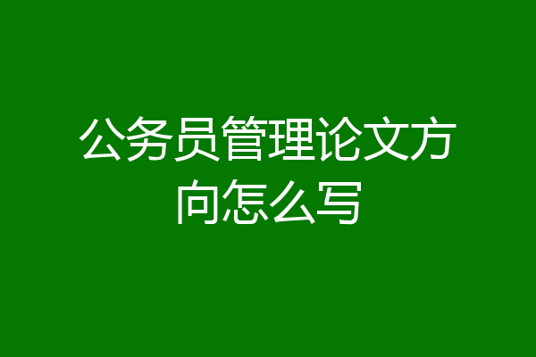 公务员管理论文方向怎么写