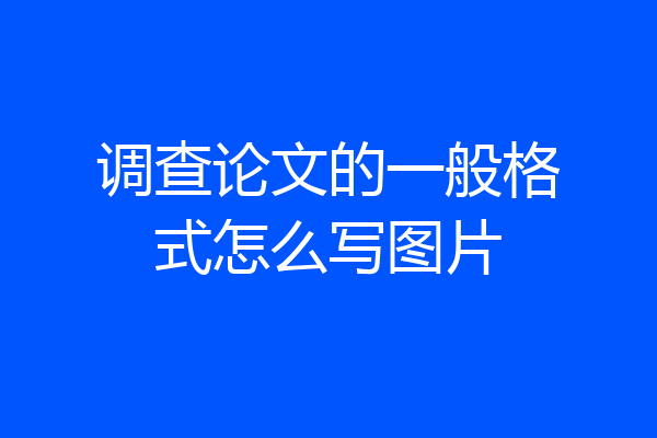 调查论文的一般格式怎么写图片