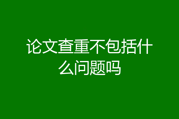 论文查重不包括什么问题吗