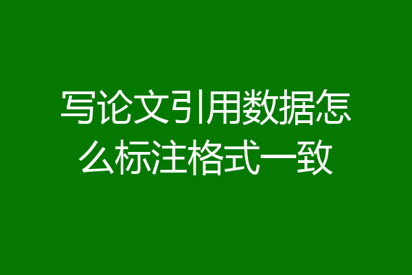写论文引用数据怎么标注格式一致