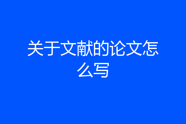 关于文献的论文怎么写