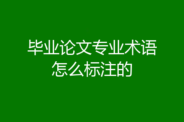 毕业论文专业术语怎么标注的