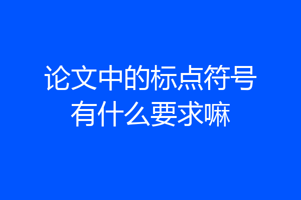 论文中的标点符号有什么要求嘛
