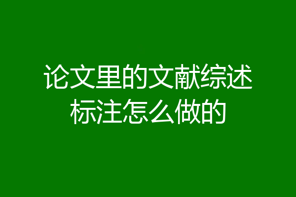 论文里的文献综述标注怎么做的