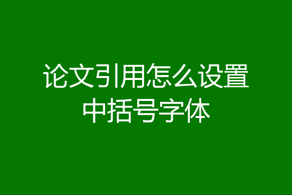论文引用怎么设置中括号字体