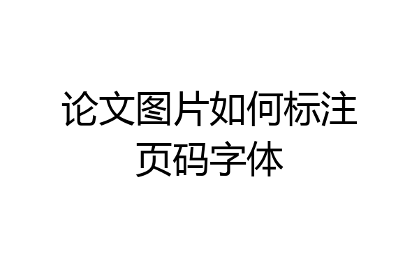 论文图片如何标注页码字体
