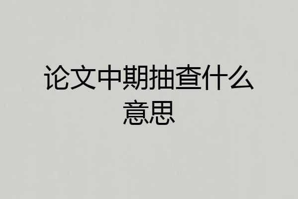论文中期抽查什么意思