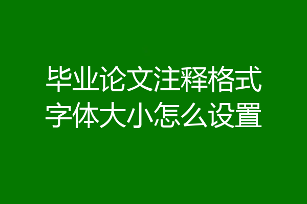 毕业论文注释格式字体大小怎么设置