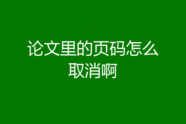 论文里的页码怎么取消啊