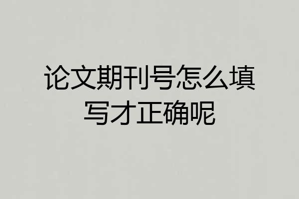 论文期刊号怎么填写才正确呢