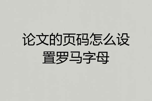 论文的页码怎么设置罗马字母