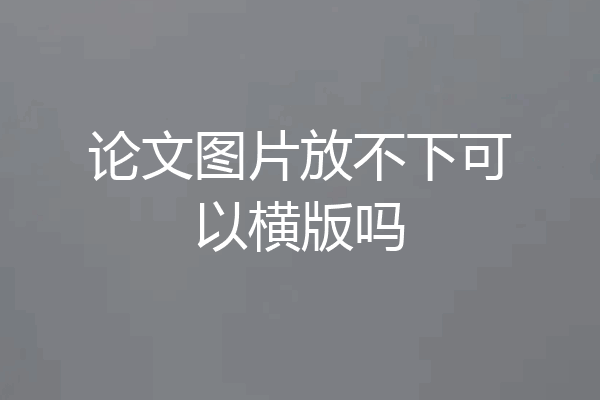 论文图片放不下可以横版吗