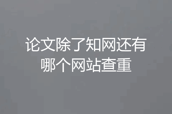 论文除了知网还有哪个网站查重