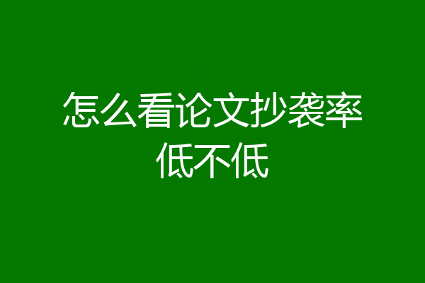 怎么看论文抄袭率低不低