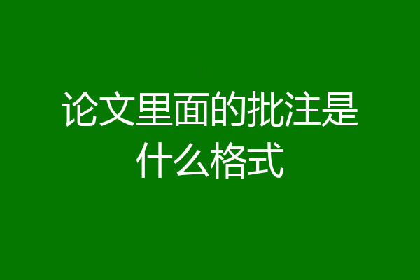 论文里面的批注是什么格式