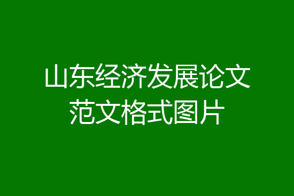 山东经济发展论文范文格式图片