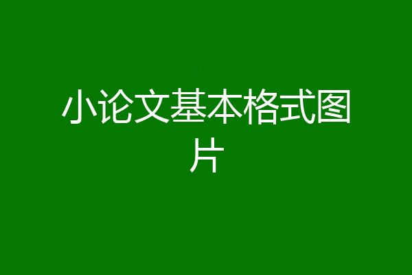 小论文基本格式图片