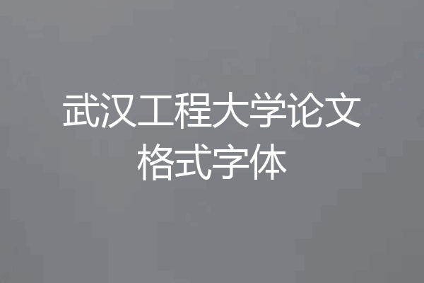 武汉工程大学论文格式字体