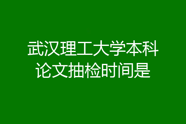 武汉理工大学本科论文抽检时间是