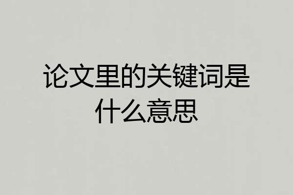 论文里的关键词是什么意思