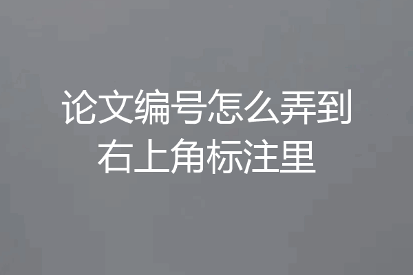 论文编号怎么弄到右上角标注里