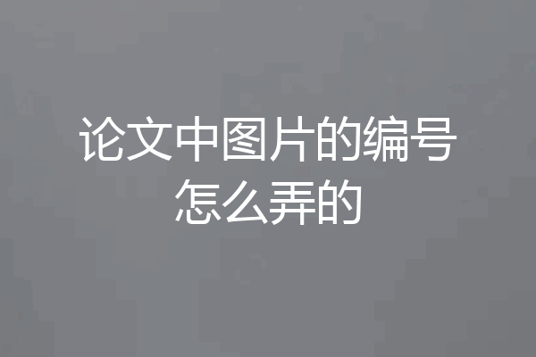 论文中图片的编号怎么弄的