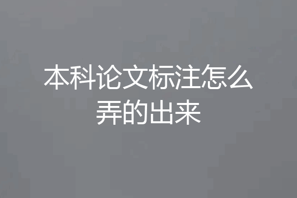 本科论文标注怎么弄的出来