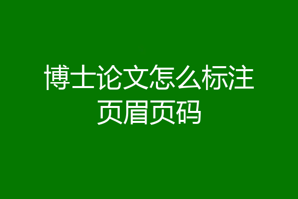 博士论文怎么标注页眉页码