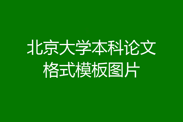 北京大学本科论文格式模板图片