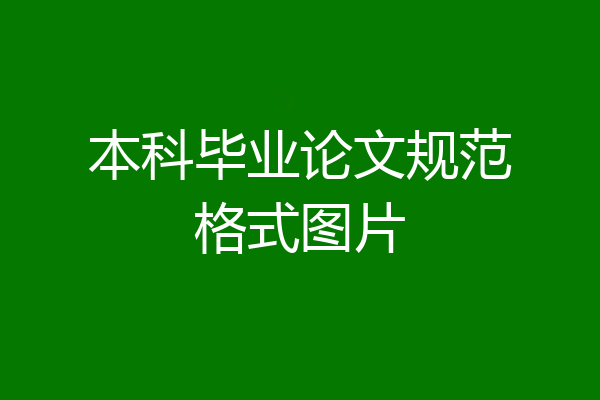 本科毕业论文规范格式图片