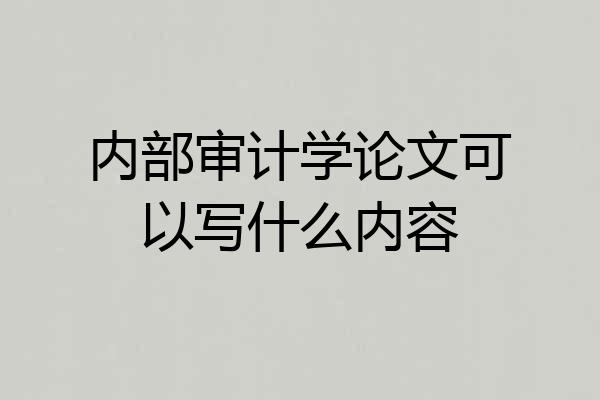 内部审计学论文可以写什么内容