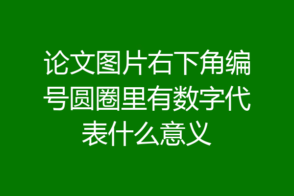 论文图片右下角编号圆圈里有数字代表什么意义
