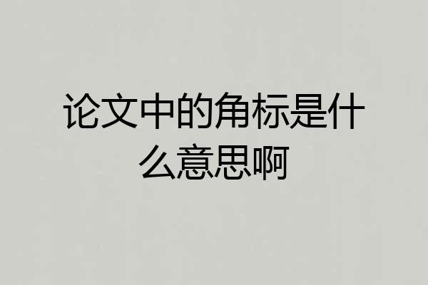 论文中的角标是什么意思啊