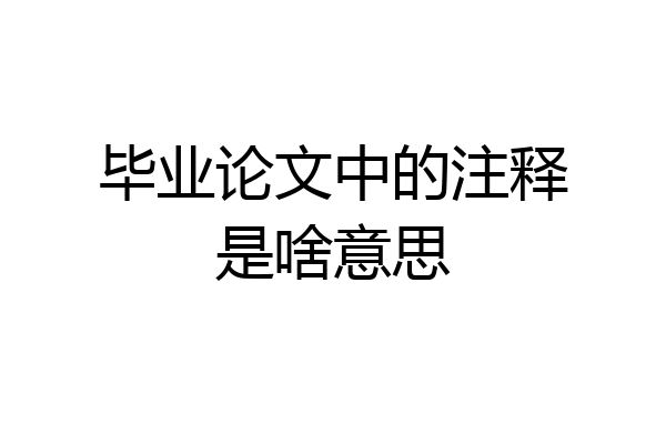 毕业论文中的注释是啥意思