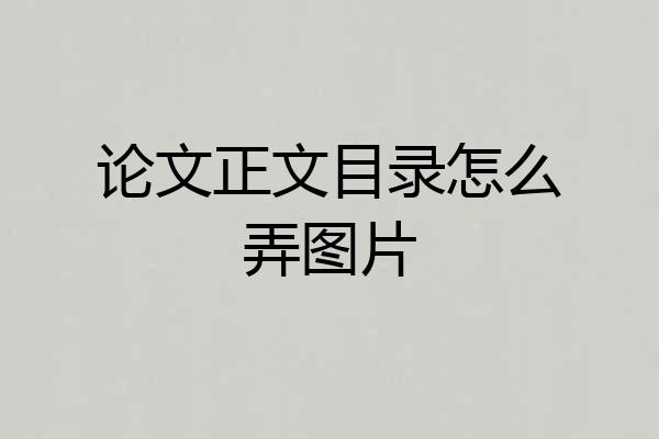 论文正文目录怎么弄图片