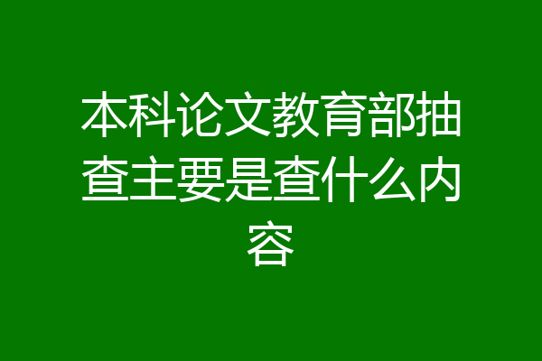 本科论文教育部抽查主要是查什么内容