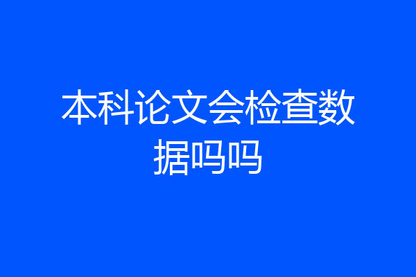 本科论文会检查数据吗吗