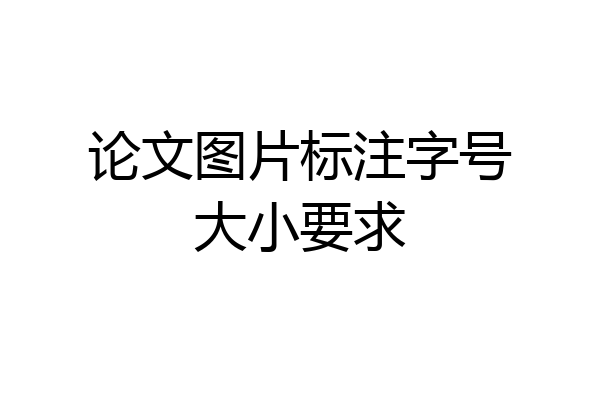 论文图片标注字号大小要求