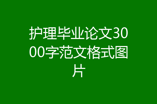 护理毕业论文3000字范文格式图片