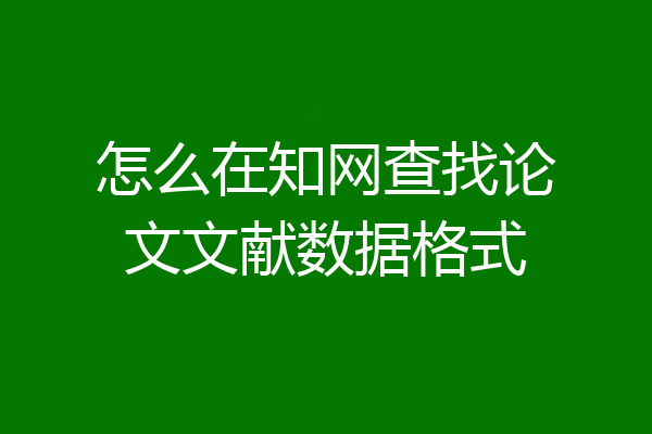 怎么在知网查找论文文献数据格式