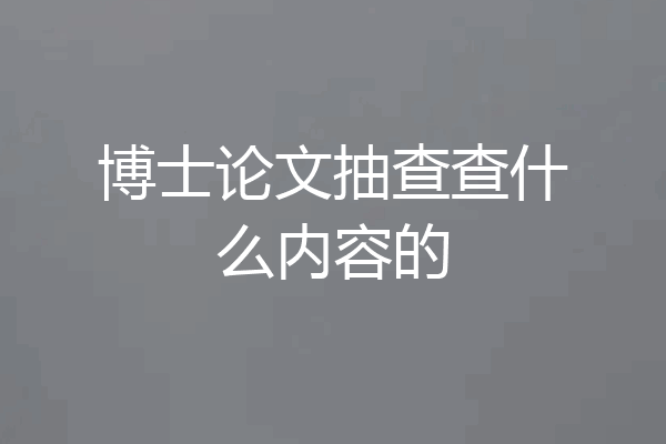 博士论文抽查查什么内容的