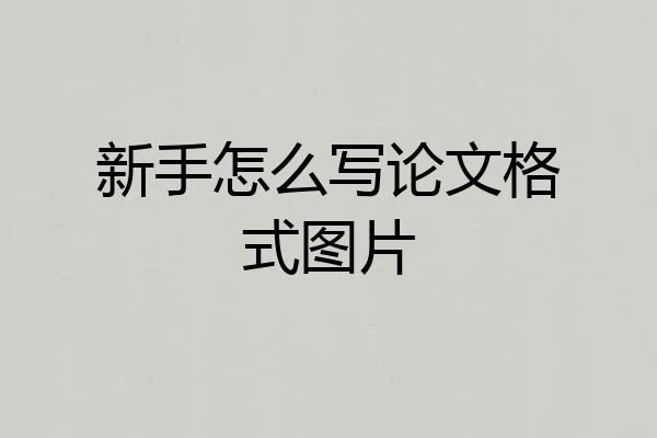 新手怎么写论文格式图片