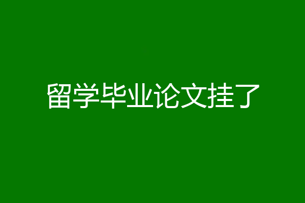 留学毕业论文挂了
