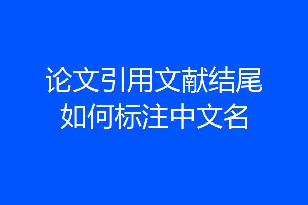 论文引用文献结尾如何标注中文名