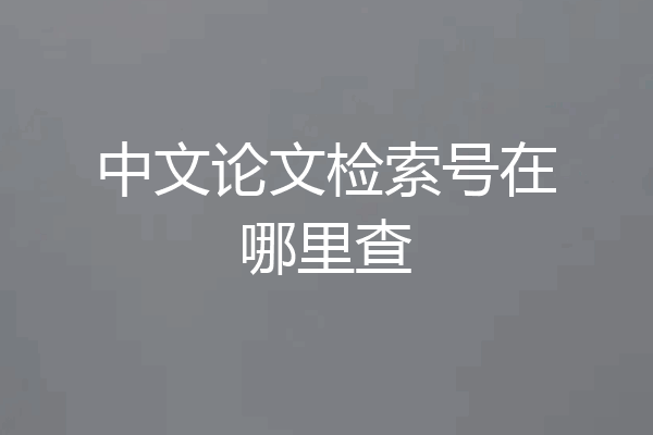 中文论文检索号在哪里查