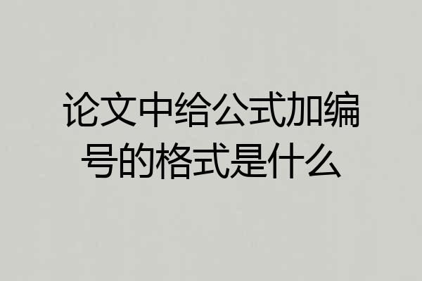 论文中给公式加编号的格式是什么